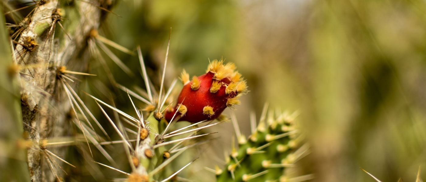 insight featured image